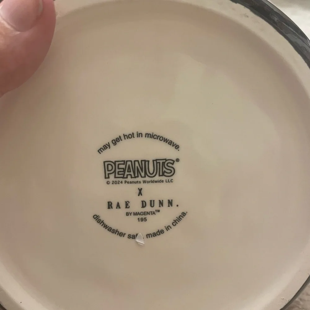 NWT Peanuts and Rae Dunn Pet Food or Water Bowl